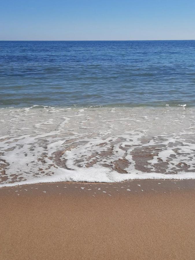 Студия На Белоснежном Пляже Los Locos Torrevieja Eksteriør billede